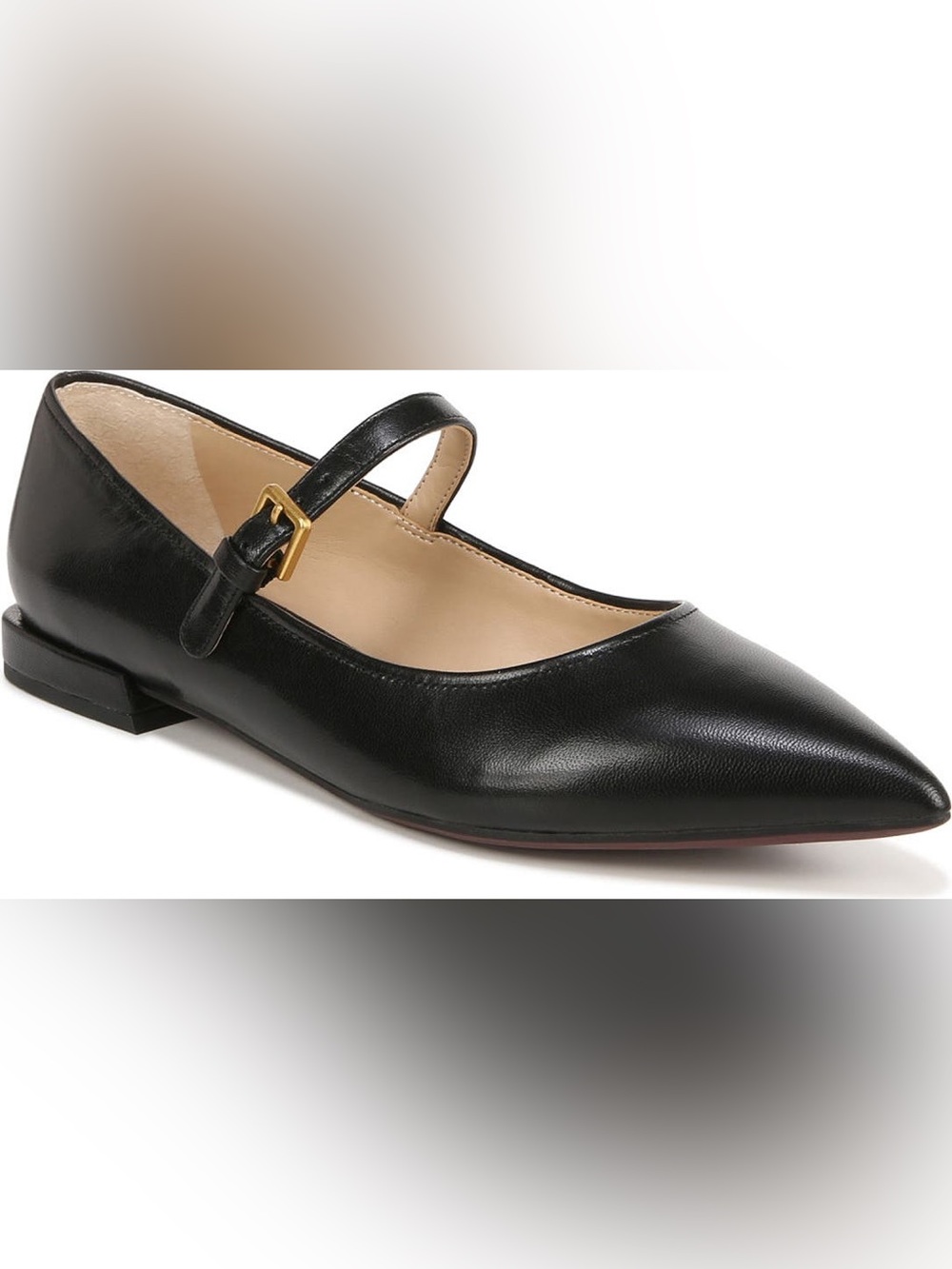 Franco Sarto Nalin Pointed Toe Flat
